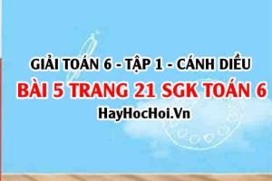 Giải bài 5 trang 21 Toán 6 Tập 1 SGK Cánh Diều